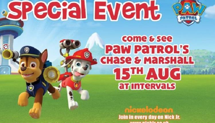 Paw Patrol's Chase & Marshall at Adventure Wonderland