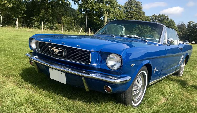 Ford Mustang at Beaulieu's Simply Ford