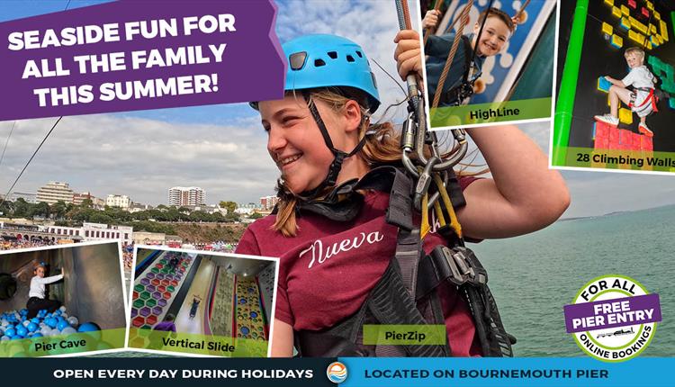 girl zip wire