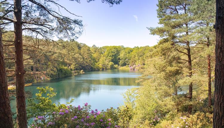 The Blue Pool landscape and flora