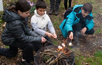 Three children toasting marshmallows over a small fire.