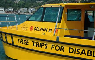 Dolphin III harbour trips for people with disabilities