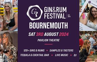 Gin and Rum Festival promotional poster with people enjoying a drink