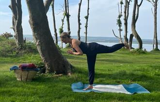Yoga under the Sycamores