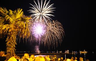 fireworks exploding in the night sky