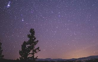 A stary night with a purple sky and two trees with a hint of an orange sky at the bottom