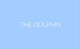 The Dolphin logo written in white with a blue background