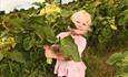 Child in pink dress holding a sunflower and smiling