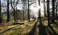 Grounds Kingston Lacy