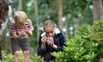 Kingston Lacy Woodland Trail