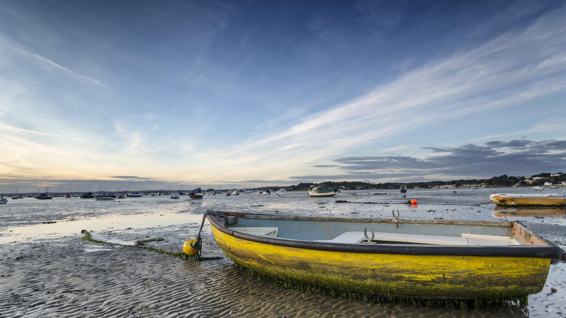 Old boat moored at low tide in Poole