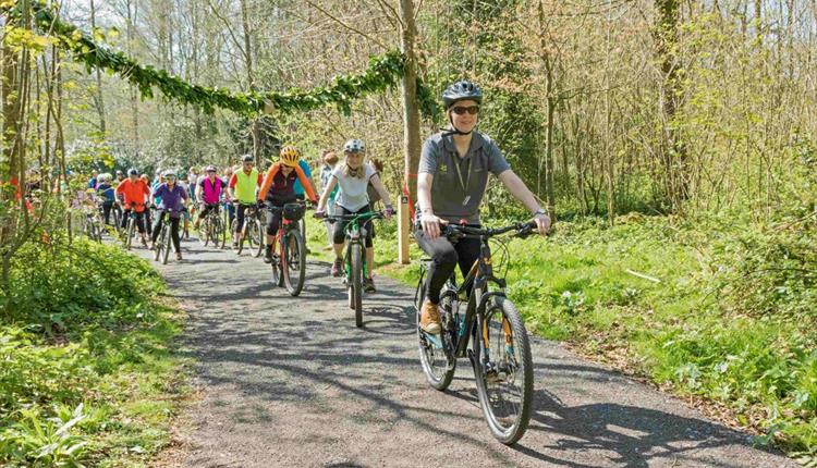 Kingston Lacy Health Cycle Rides