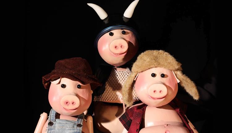 The Three Billy Pigs
