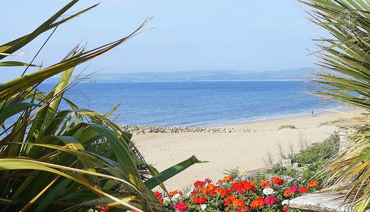 plants and brightly coloured red white pink 
orange flowers framing the photo of the blue sea view