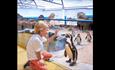 A young boy kneeling down to greet a penguin