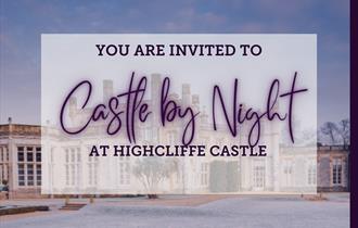 Castle by Night poster