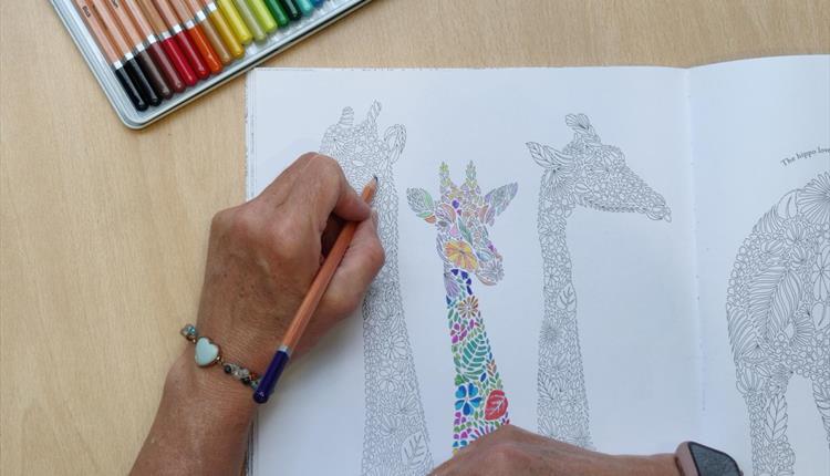 Colouring book and colouring pencils