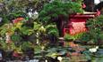 Japanese Garden featuring lily pads trees and red house.
