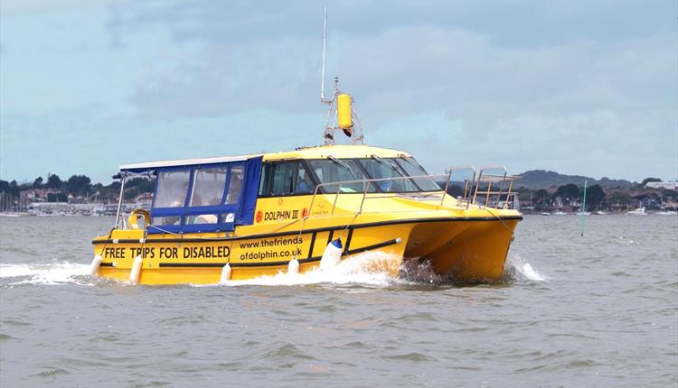 Dolphin III, a  yellow boat in Poole harbour offering free boat trips that are accessible for all.