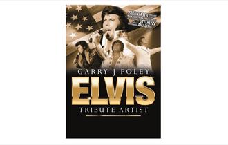 Elvis Presley tribute promotional poster