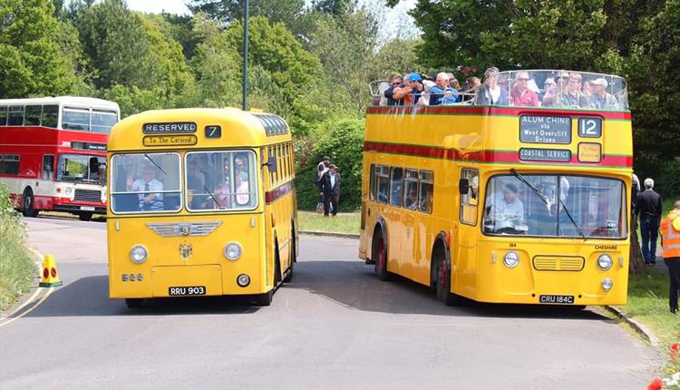 Yellow vintage buses filled with passengers in the sunshine