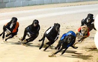 Poole Stadium Greyhounds Racing