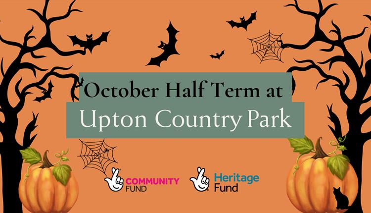 October Half Term at Upton Country Park