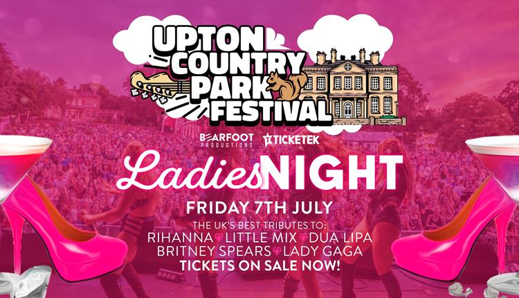 Picture of a concert coloured pink with two pink shoes and text Ladies Night Friday 7 July