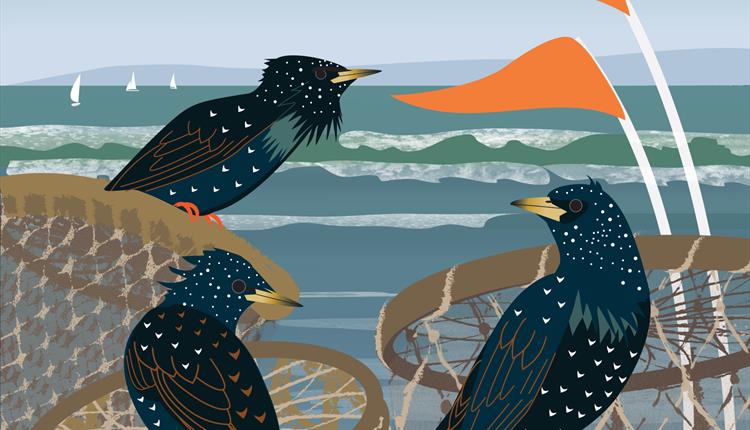 Birds, Boats and Back Garden Wildlife: Illustrations by Rachel Hudson - lobster pots
