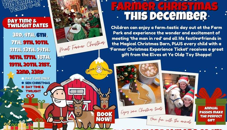 Dates & Activities during Christmas