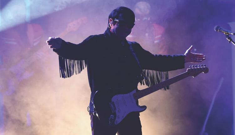 Silhouette of a man in purple and cream coloured smoke holding a guitar