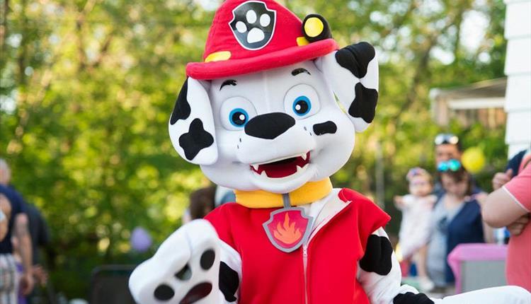 Paw Patrol at Upton Country Park, Poole.