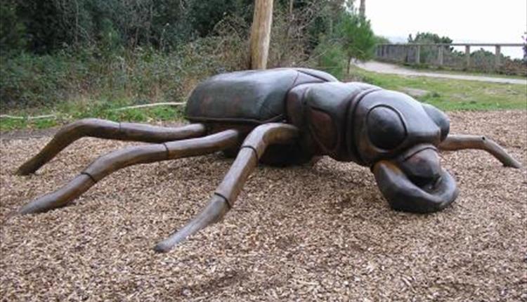 Play Sculpture Beetle