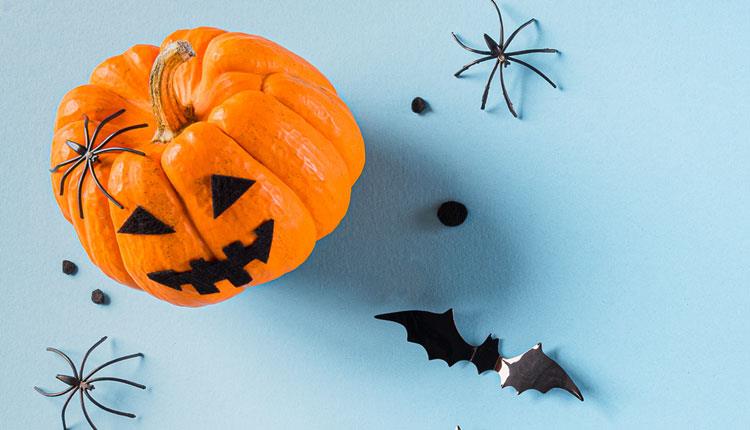 Halloween pumpkin, spiders and bats