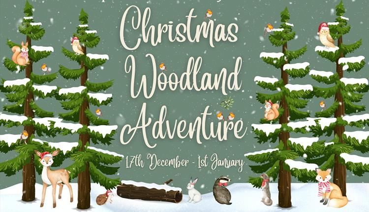 image reads: Upton Country Park Christmas Woodland Adventure
