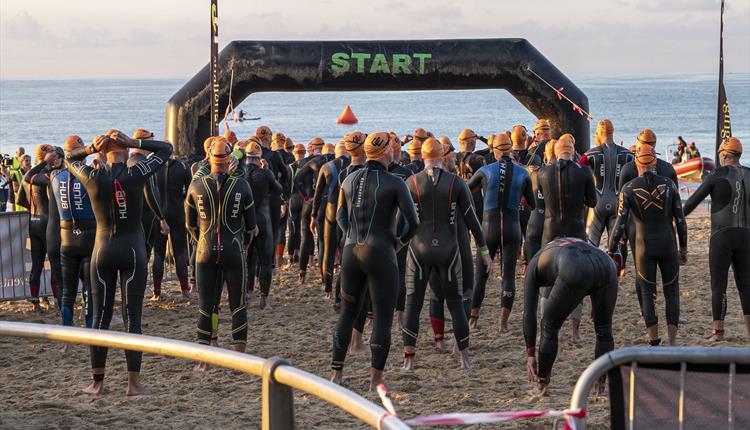 triathlon swimmers at the starting line