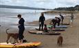Surfers get their pals ready for the sea