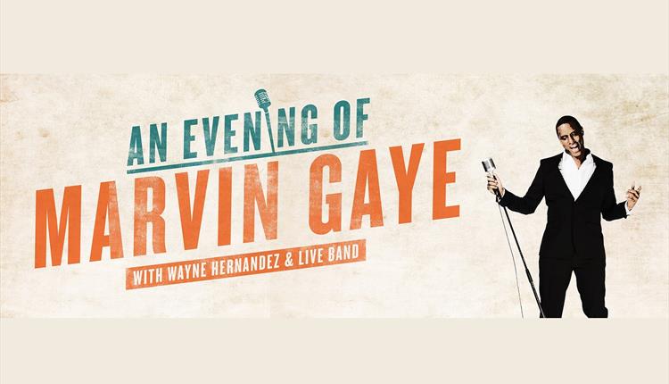 An Evening of Marvin Gaye
