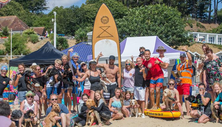 The Shaka Surf crew with their water loving doggies