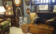 a collection of antiques including stuffed fox, pheasant and an oxford street road sign