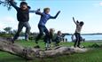 Kids having fun and jumping off a tree at Poole park