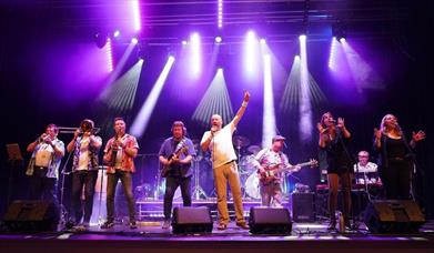 Photograph showing tribute band No Jacket Required live in concert