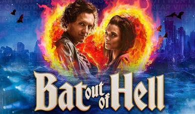 Poster image for Bat Out Of Hell