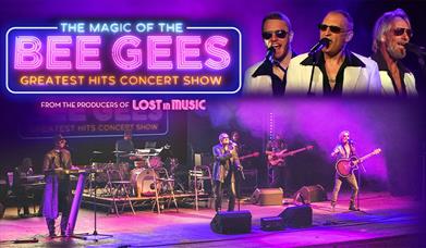 Mix of images for The Magic of the Bee Gees.