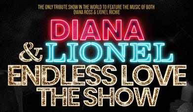 Poster for Diana and Lionel: Endless Love, the show