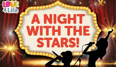 Poster for Love4Life presents 'A Night with the Stars'