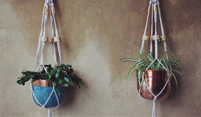 Photograph of two Macrame Pot Hangers on a wall