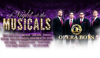 Poster for Opera Boys: A Night at the Musicals