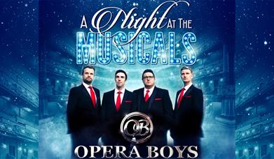 Poster for Opera Boys - A night at the musicals
