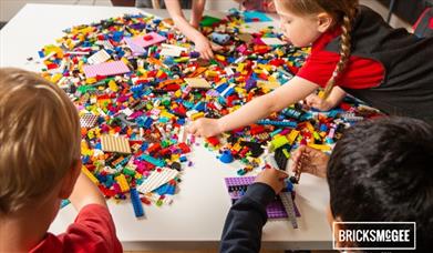 Children playing with LEGO at a Bricks McGee event